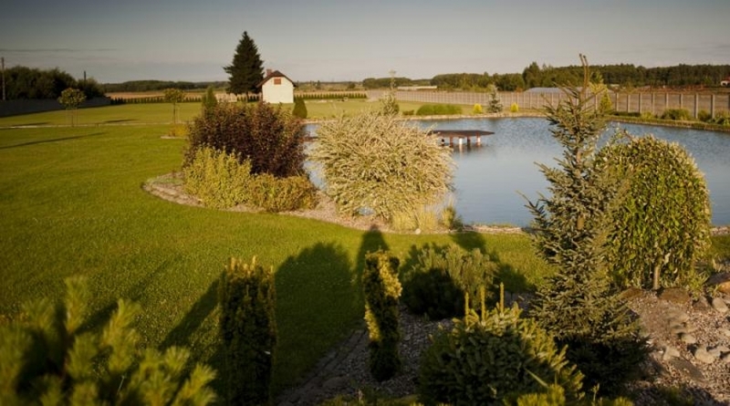 Mūsu augu audzētava